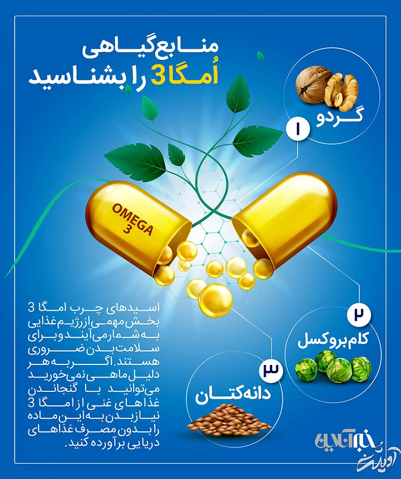 منابع گیاهی امگا۳ را بشناسید